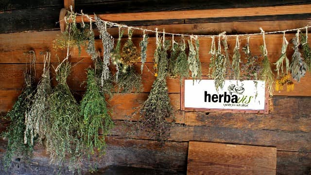 Sušené bylinky - Herbavis.cz