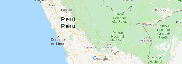 Původ byliny Cuti cuti - bylina z Peru