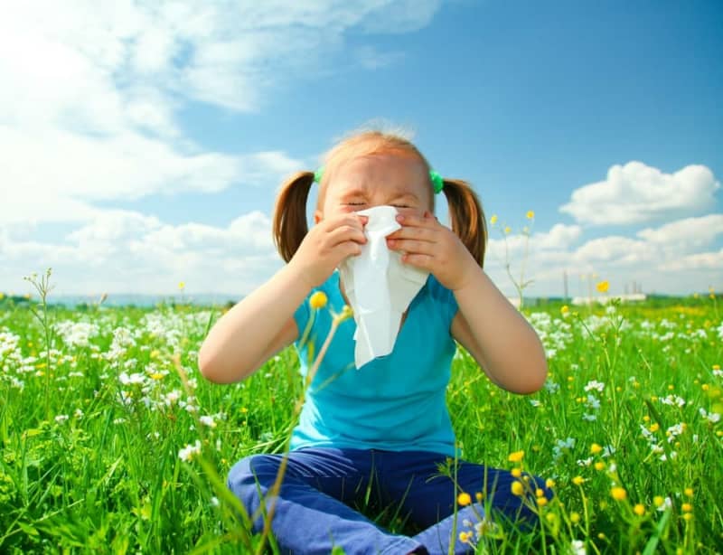 Jarní alergie - jak se s ní vypořádat? 