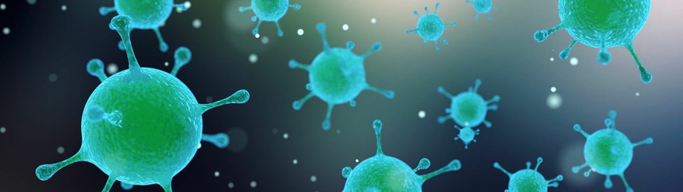 Jak se bránit proti bakteriím a virům - byliny na imunitu
