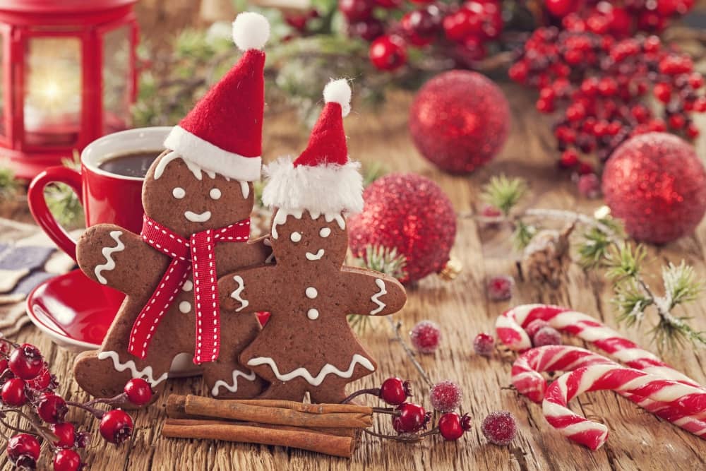 Vánoční recepty plné chutí a vůní přírody | HerbaBlog | Herbavis.cz