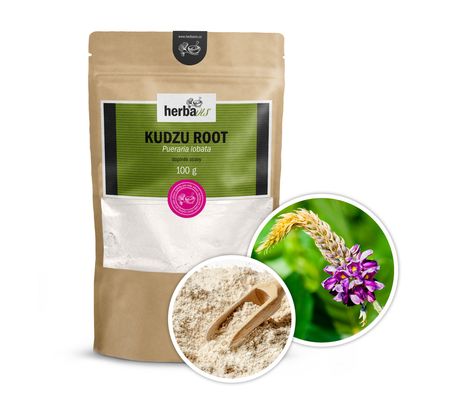 Kudzu root prášek