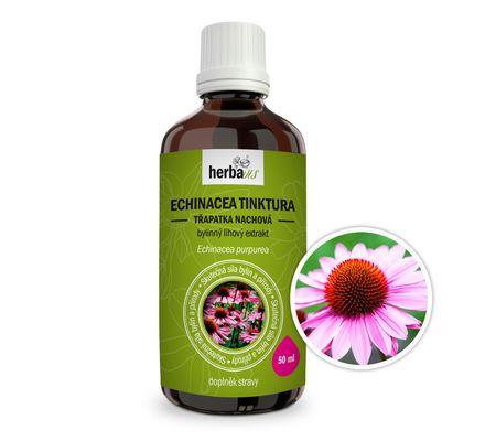 Echinacea (Třapatka)