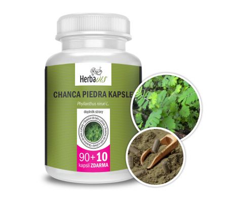 Chanca piedra kapsle
