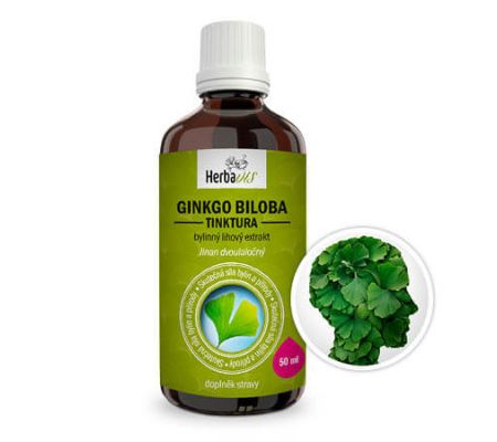 Ginkgo biloba - tinktura