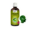 Ginkgo biloba - tinktura