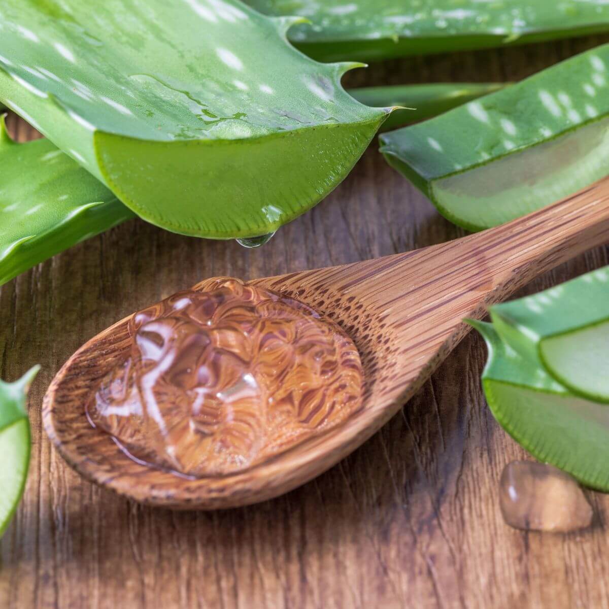 agave products Sheer Agave Nectar – Sheer Organic Agave